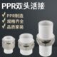 6分1寸PPR水管配件 75PPR双头活接头热熔直接4