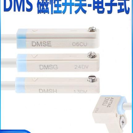 亚德客DMSG-020 DMSE-020 DMSH DMSJ -020-030-050磁性开关感应线