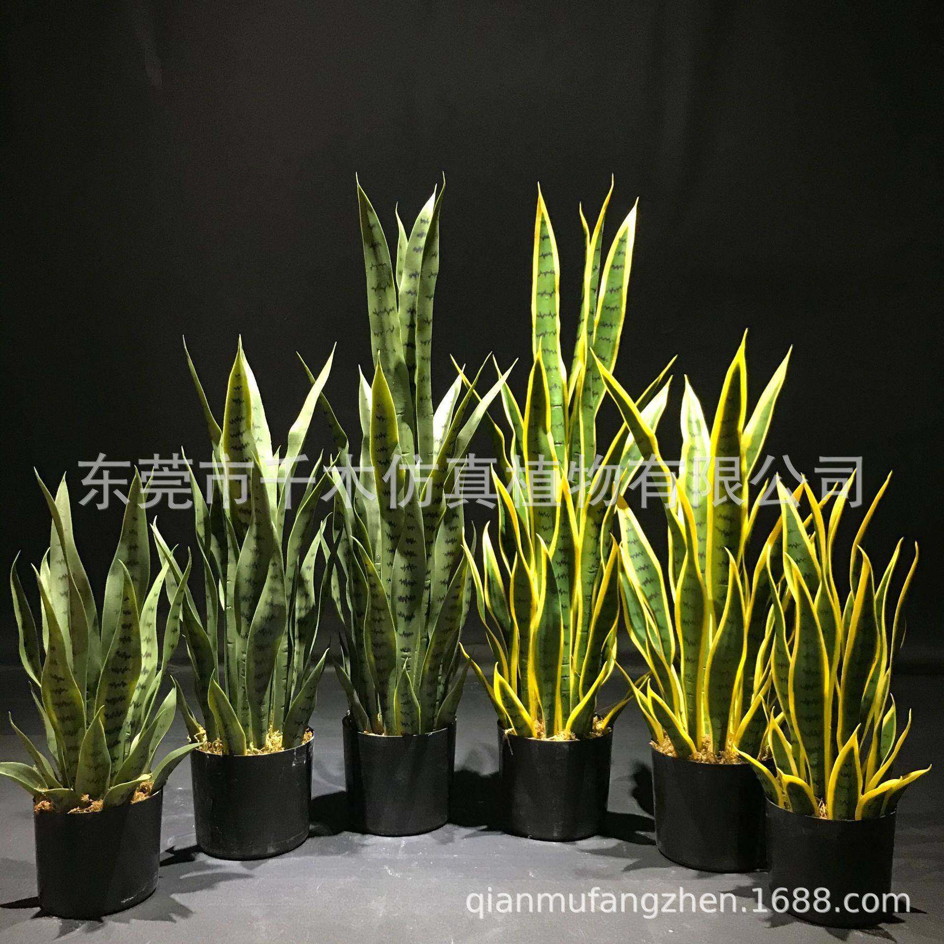 北欧风仿真植物虎皮兰盆栽室内客厅办公室落地盆景装饰假绿植摆件,机械设备,其他机械设备,淘宝优惠券,粉丝福利购,淘宝优惠卷