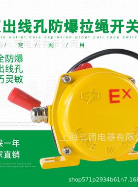 ExKLT2手动防爆双向拉绳开关 BKLT2-2型双出线孔防爆平衡拉线开关