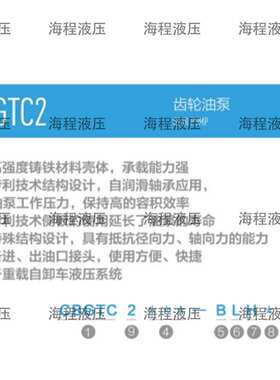 CBGTC2系列齿轮油泵单联泵C齿轮泵