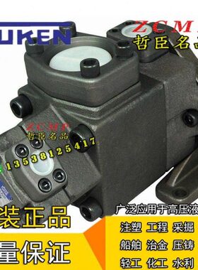 叶片泵PV2R13-17/19/23/25/31-76/94/116-L/F-RAAA/RAAB-31/40/41