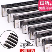 调演奏级乐器 天鹅口琴学生成人初学者儿童24孔复音C