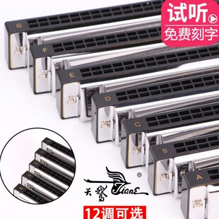 天鹅口琴学生成人初学者儿童24孔复音C/A/B/D/E/F/G#调演奏级乐器