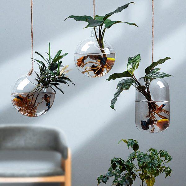 水培容器悬挂创意个性透明绿萝水养鱼缸小吊瓶栽植物玻璃花瓶