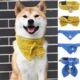 项圈脖圈颈套三角巾胸背柴犬狗绳牵引绳 黄色唐草纹日式 芮柴限量