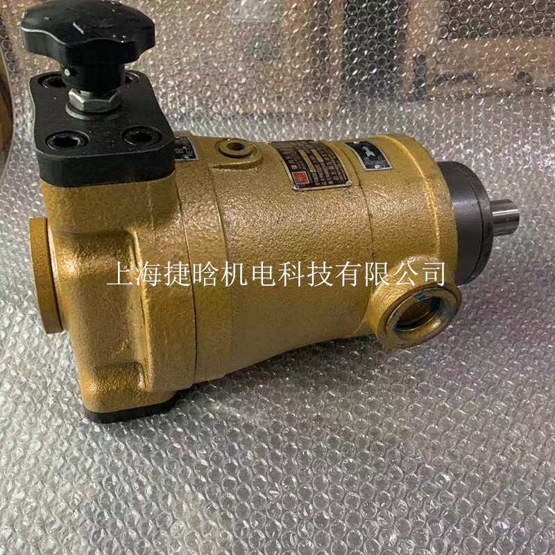 上海启东高压轴向柱塞 160PCY14-1B 定量液压油泵MCY型号