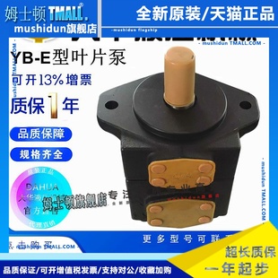 125 31.5 100 仙居大华液压叶片泵YB E10