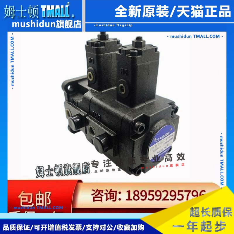 义盛液压VPKCC-F2020-A1A1/A2A2/A3A3/A4A4-01-A叶片泵液压泵油泵