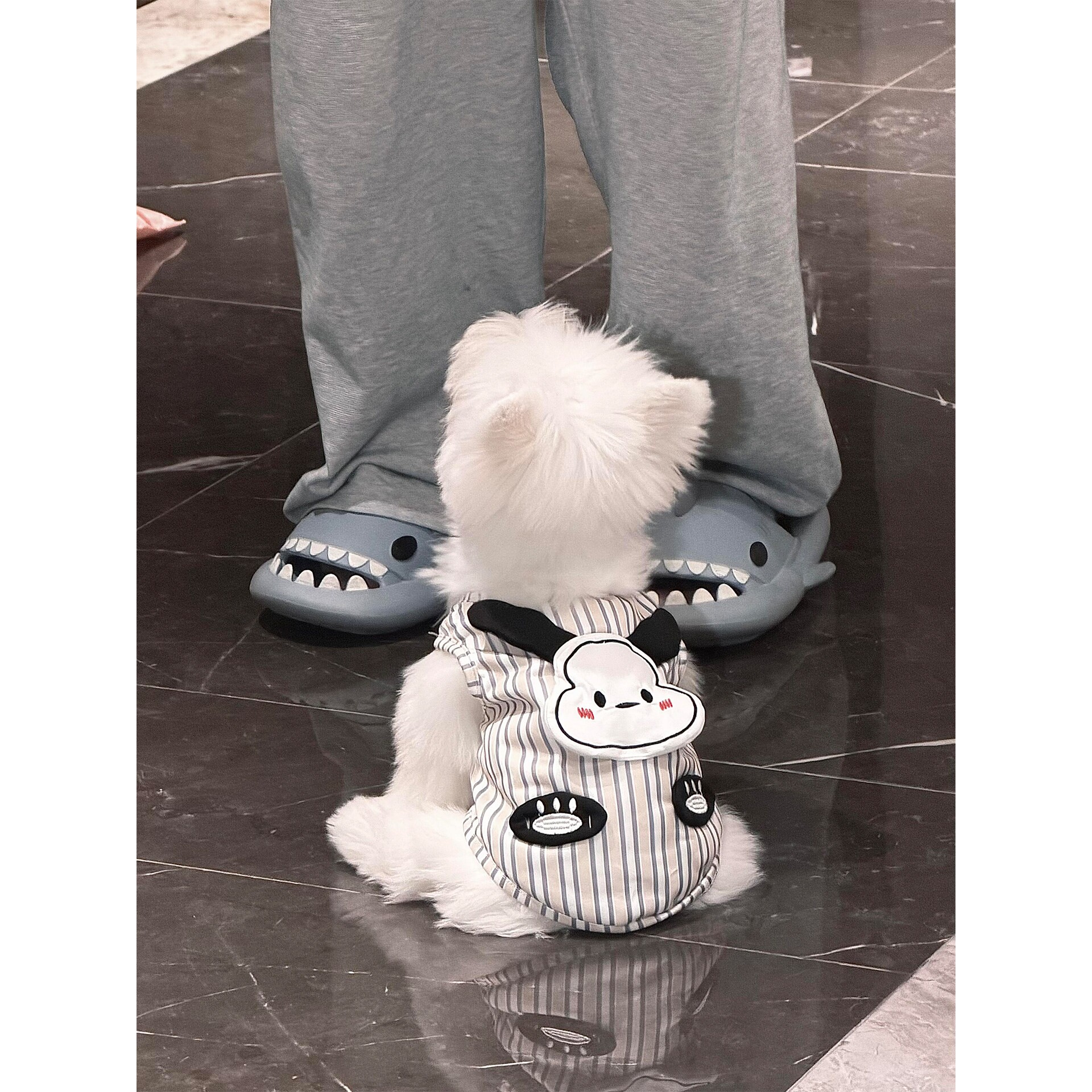 狗狗衣服立体玩偶小型犬比熊博美雪纳瑞四季通用防掉毛宠物背心
