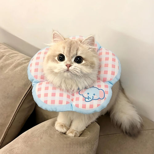 伊丽莎白圈软圈猫狗头套防咬狗狗防舔神器猫咪绝育项圈宠物脖圈