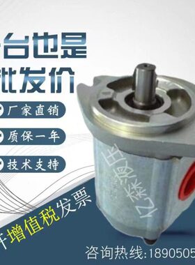 康百世KOMPASS齿轮泵P101/102/104/105/106/107/109/127135RP01GT