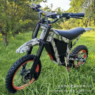 跨境直供电动越野摩托车48V锂电两轮山地赛车Electric motorcycle