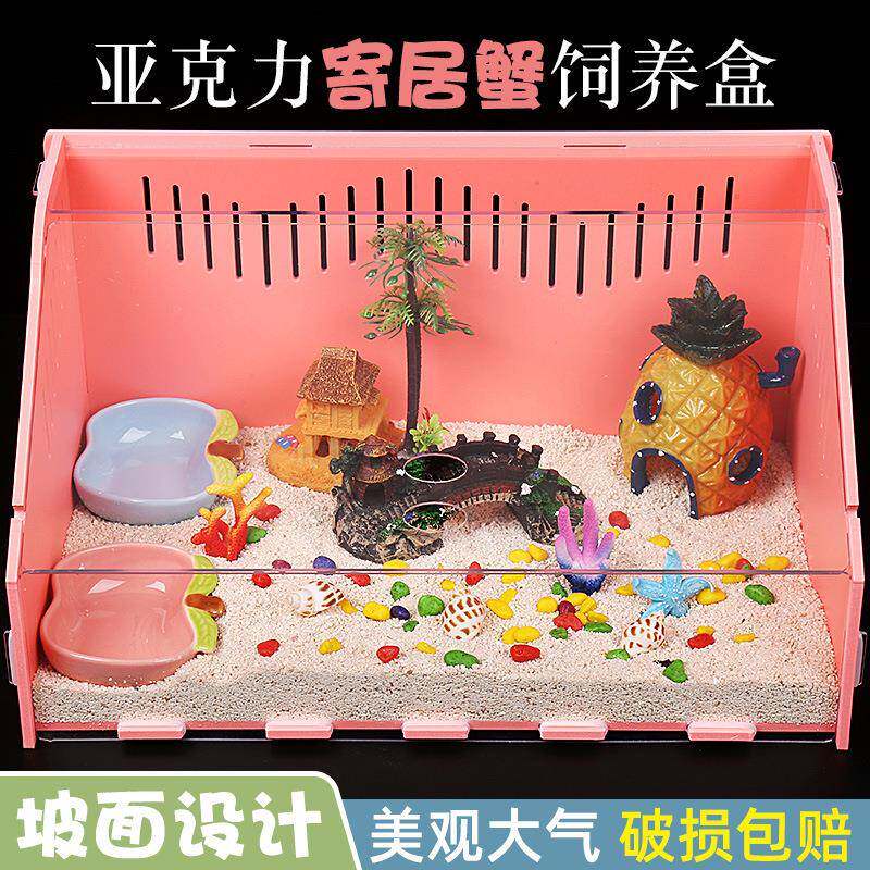 寄居蟹饲养箱螃蟹辣椒蟹饲养盒大中号别墅保温造景缸新手养殖套装