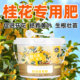 桂花专用肥颗粒缓释有机型肥料盆栽小菜园四季 通用增根壮苗促花期