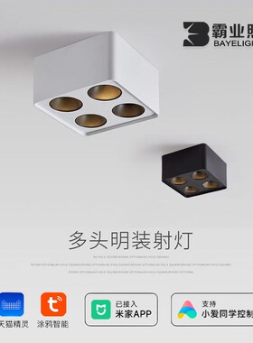 明装斗胆灯智e能调光客厅灯餐厅灯吸顶无主灯四头led防眩筒灯射灯
