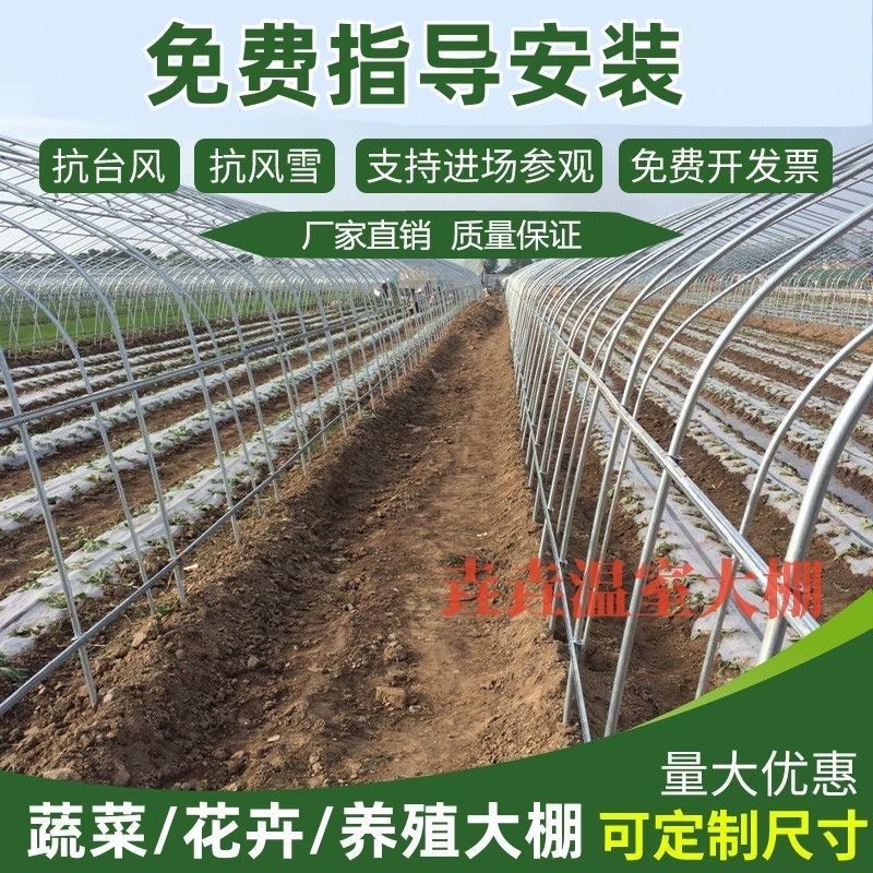 温室蔬菜种植大棚钢管骨架钢架拱形简易大棚养殖大棚拱杆一整套,农机/农具/农膜,温室大棚支架,淘宝优惠券,粉丝福利购,淘宝优惠卷