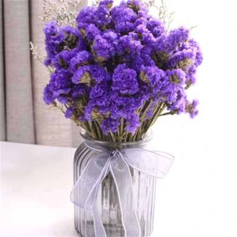 【天然干花套餐】云南干花花束勿忘我家居摆设客厅餐桌装饰含花瓶