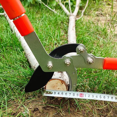 剪枝果树修枝剪刀园艺修剪树枝园林省力修粗枝剪家用工具剪子神器