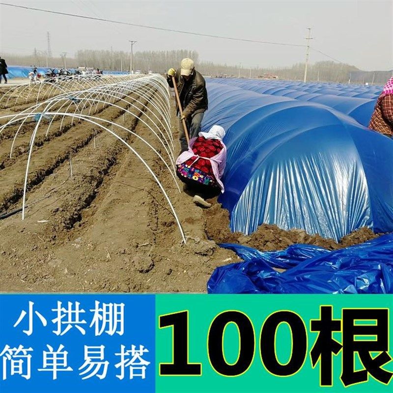 农用拱棚支架撑杆保温棚玻纤棒弹力杆塑料杆大棚种菜园小拱棚骨架,鲜花速递/花卉仿真/绿植园艺,其它园艺用品,淘宝优惠券,粉丝福利购,淘宝优惠卷