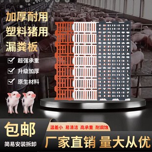 加厚养猪漏粪板母猪产床漏粪板猪用塑料狗小N仔猪保育床羊床漏粪