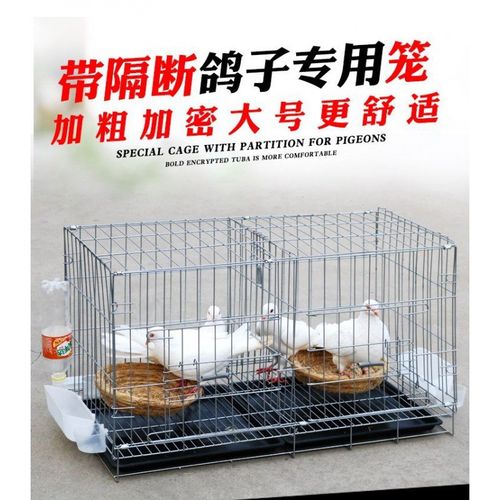 鸽子笼大号家用配对养殖笼鸽子用品用具家用鸡笼大号