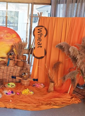 橙色美拉德系纱幔网纱布料幼儿园自然角秋季氛围感装饰晒秋收背景