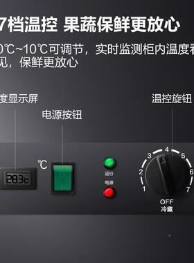 门PQJ商用冰柜双璃冰箱冷藏蔬饮菜瓜果料玻保鲜柜展示柜商用