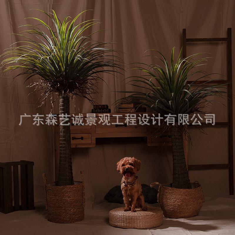 红仿真龙血树绿植假盆树栽盆网景室内LE-114厅落地家客居装饰造景