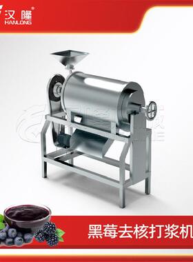 厂家优惠工业不锈钢黑莓去核打浆机葡萄草莓桑葚打浆水果原浆加工