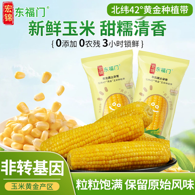 【主播推荐】东福门东北新鲜黄糯玉米宿舍粗粮苞米北纬42°