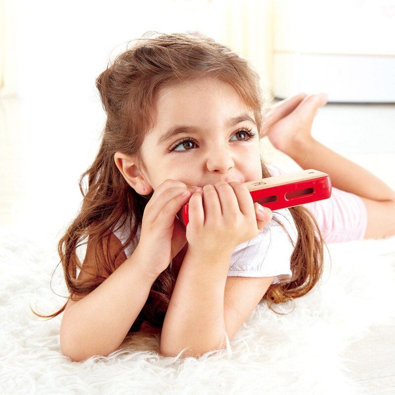 儿童布鲁斯口琴初学婴幼儿园宝宝口风琴口哨乐器吹奏玩具10孔