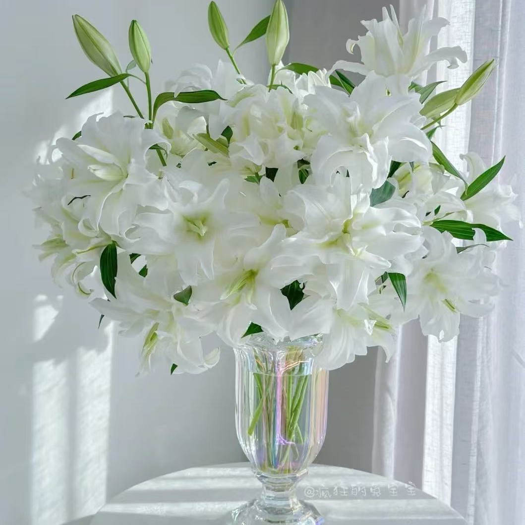 AB级香水百合+现采现发货