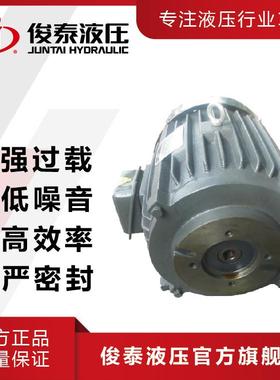 现货 卧式20HP-4P-T6D 15KW 液压马达 油压系统用 三相异步电机