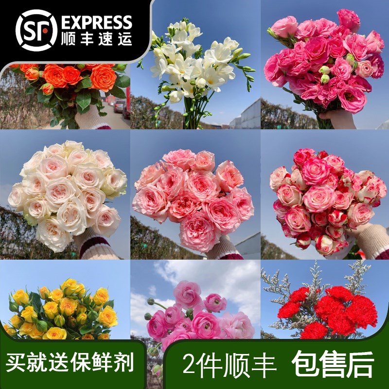 鲜花云南c直发玫瑰花郁金香康乃馨向日葵洋牡丹洋桔梗荔枝玫瑰