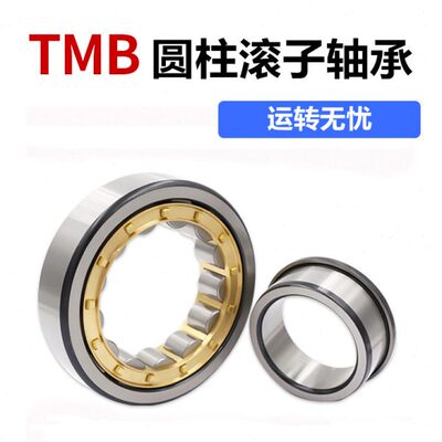 圆柱滚子轴承 NJ NU310 311 312 313 314 315 316 317 318 319 EM