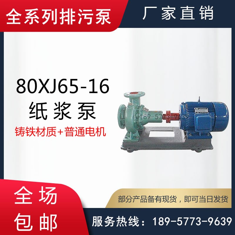 XJ型无堵塞纸浆泵/80XJ65-16/100AXJ80-25/125XJ100-25铸铁纸浆泵