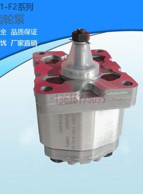 齿轮泵CBD1-F201.1/F201.3/F201.6/F202.7/F203.2/F204.2-L4ZL-CC