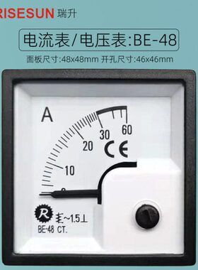BE-48电流表100/5A瑞升指针式方形30A安培表48X48电压表450V 500V