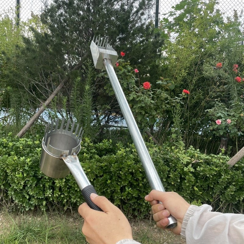 加厚新型枣树d采摘枣树果实采摘装置山地枣树采摘枣树工艺品小型