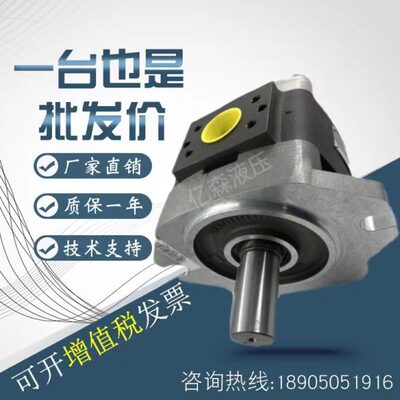 福伊特VOITH齿轮泵IPVP5-32/40/50/64 IPV6-80-101 100 IPV7-125