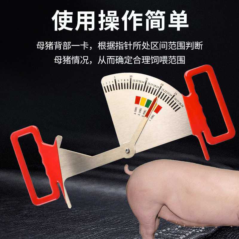 猪用饲喂卡尺不锈钢喂料管理尺猪用膘情测定指导器妊娠母猪背膘尺