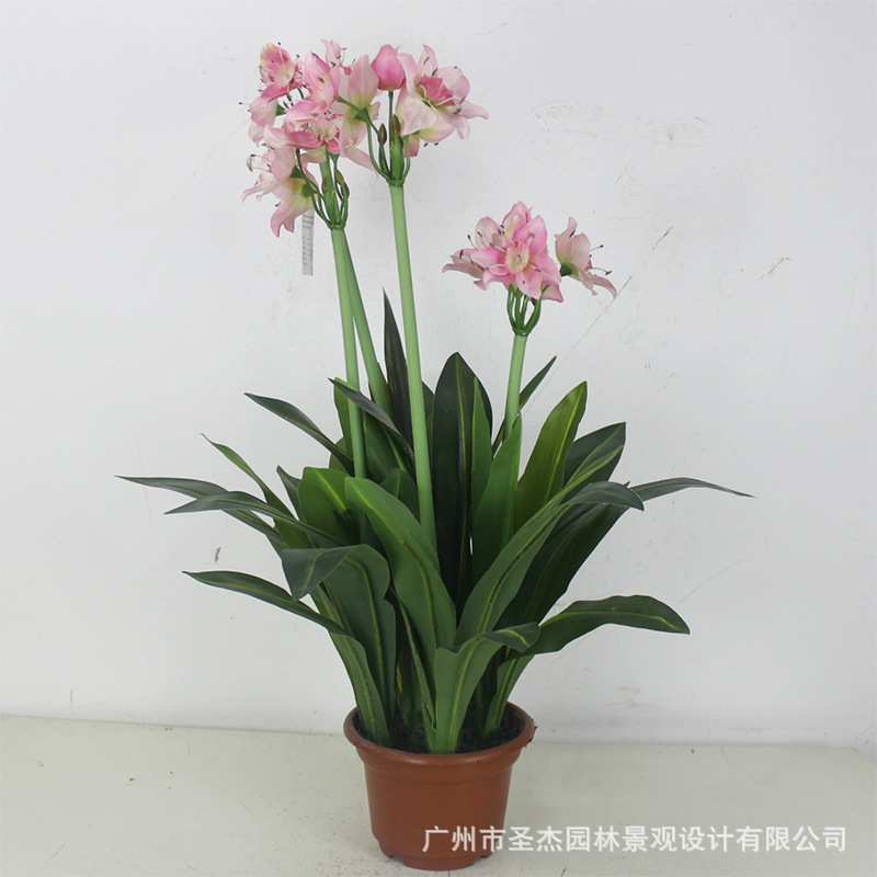 仿真水仙花盆栽 室内装饰仿真粉色水仙植物假花造景 阻燃仿真树