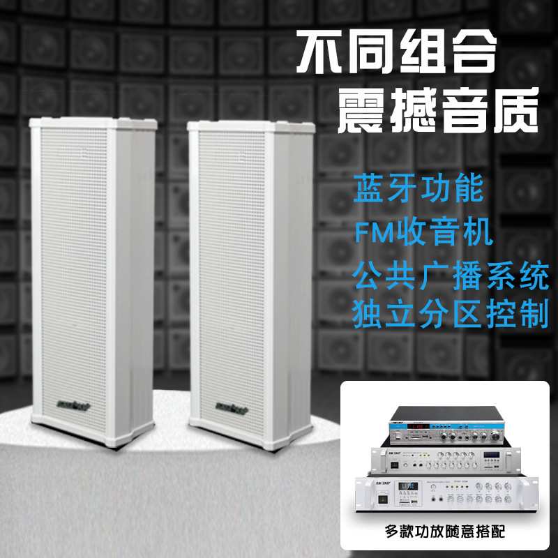 ST-51音柱有源室外防水户外音响校园商用壁挂式音箱广播音箱