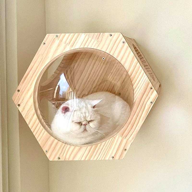 厂家 实木墙面猫爬架六角仓蜂巢太空舱设计排版透明罩壁挂式