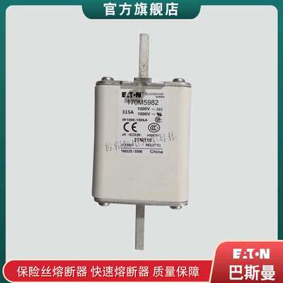 170M5927 5928 5929 5930 5931 巴斯曼bussmann快速熔断器保险丝