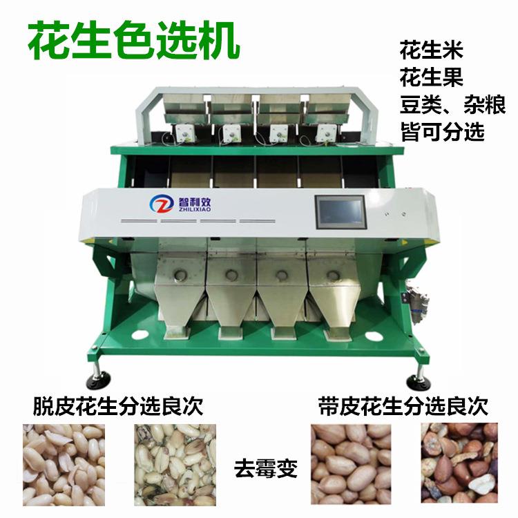 花生色选机玉米种子筛选板栗色选机花生豆类分色机精选机免费试料