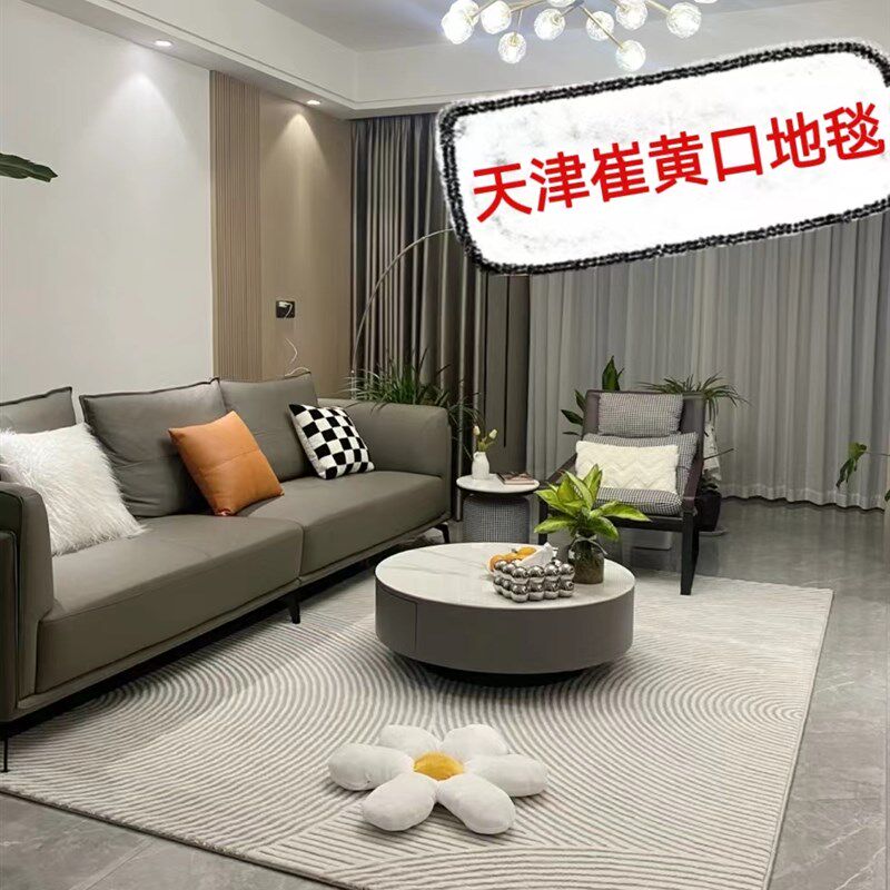 天津崔黄口地毯2023新款客厅茶几毯高级轻奢房间卧室床边家用北欧