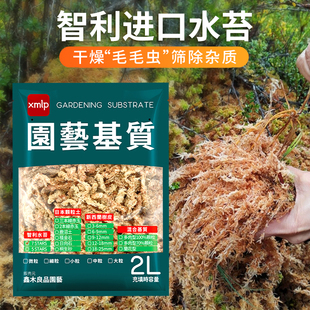 进口智利基质长条水苔毛毛虫营养土介质干苔藓蝴蝶兰植物专用兰花