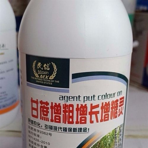 甘蔗拉长膨大素增长增甜增粗甘蔗专用叶面肥料大瓶500毫升